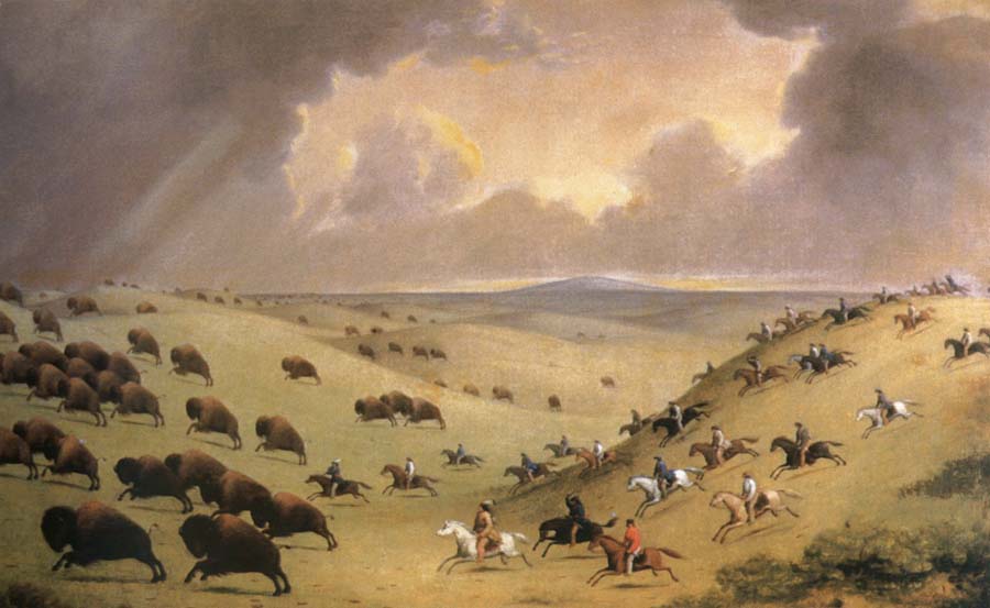 the buffalo hunt